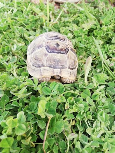 Yorum fotoğrafı 5