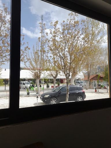 Fotoğraf 12