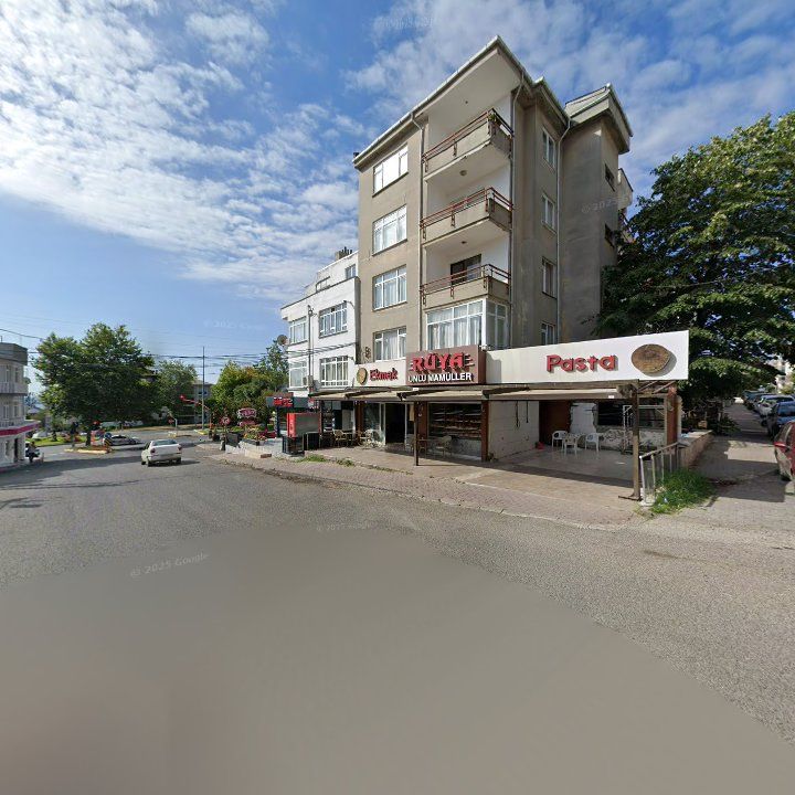 Fotoğraf 10