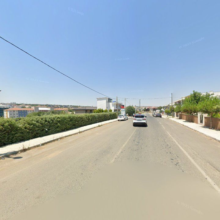 Fotoğraf 8
