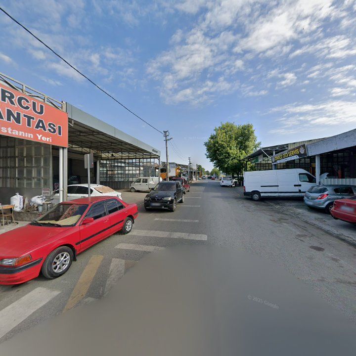 Fotoğraf 9