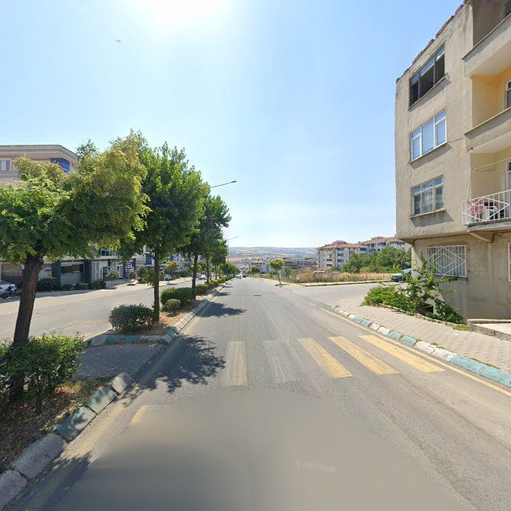 Fotoğraf 10