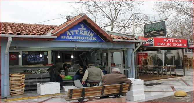 Aytekin Balıkçılık Sahil