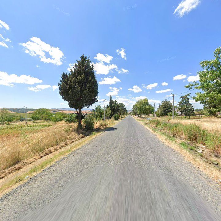 Fotoğraf 8