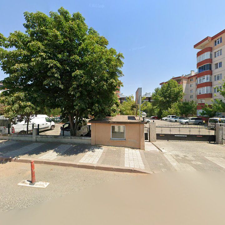 Fotoğraf 12