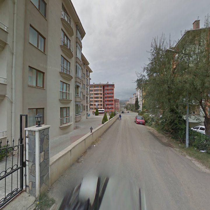Fotoğraf 10