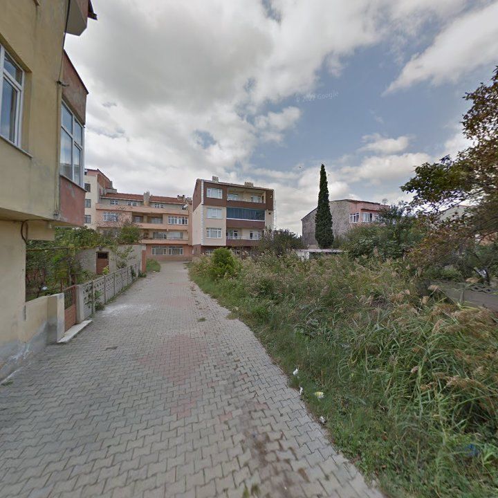 Fotoğraf 8