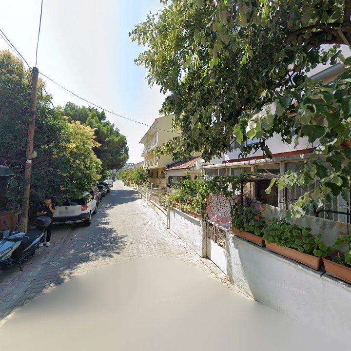 Fotoğraf 7