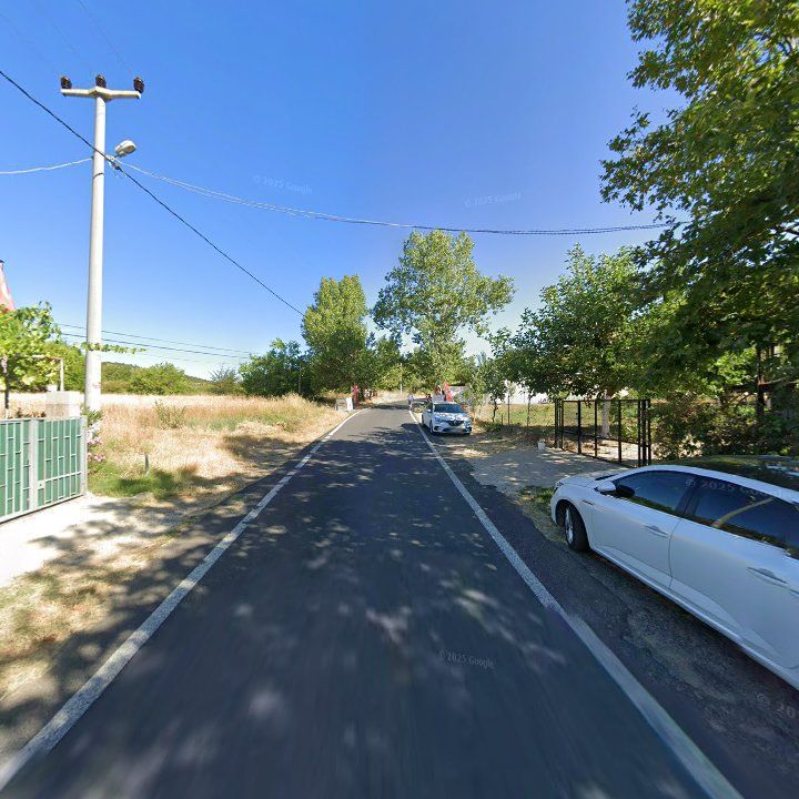 Fotoğraf 8