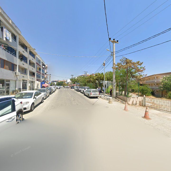 Fotoğraf 7
