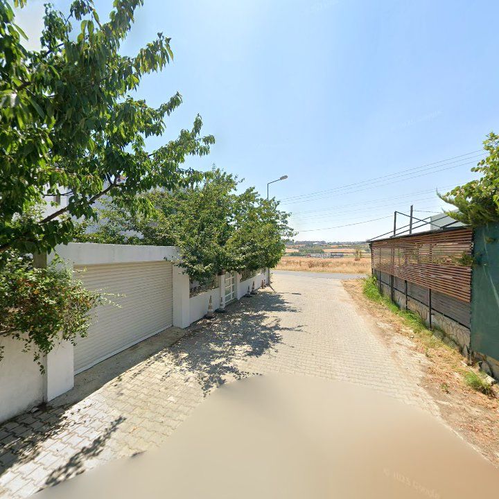 Fotoğraf 12