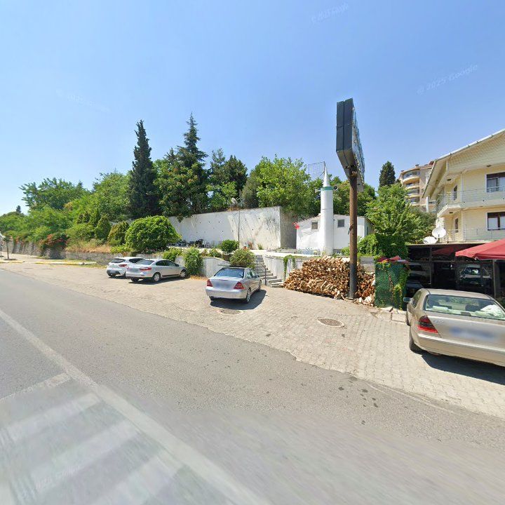 Fotoğraf 8