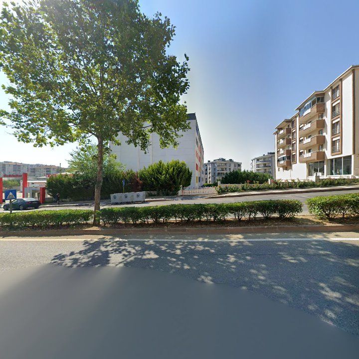 Fotoğraf 11