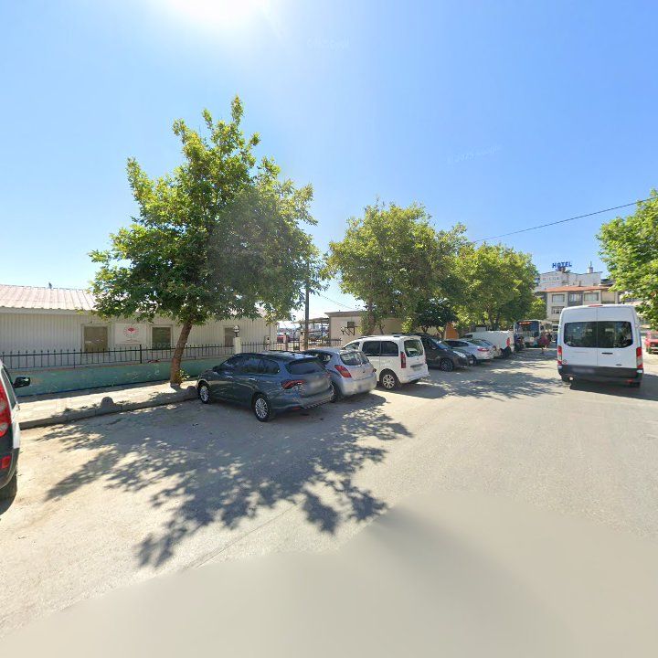 Fotoğraf 8