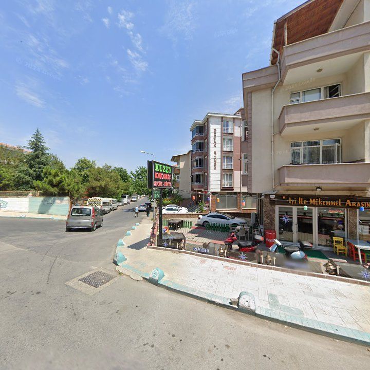 Fotoğraf 11