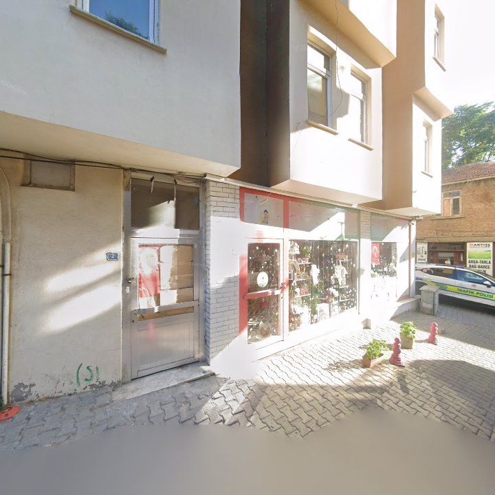 Fotoğraf 4