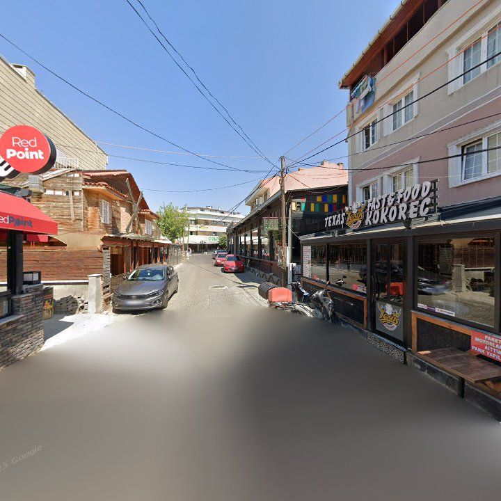 Fotoğraf 11