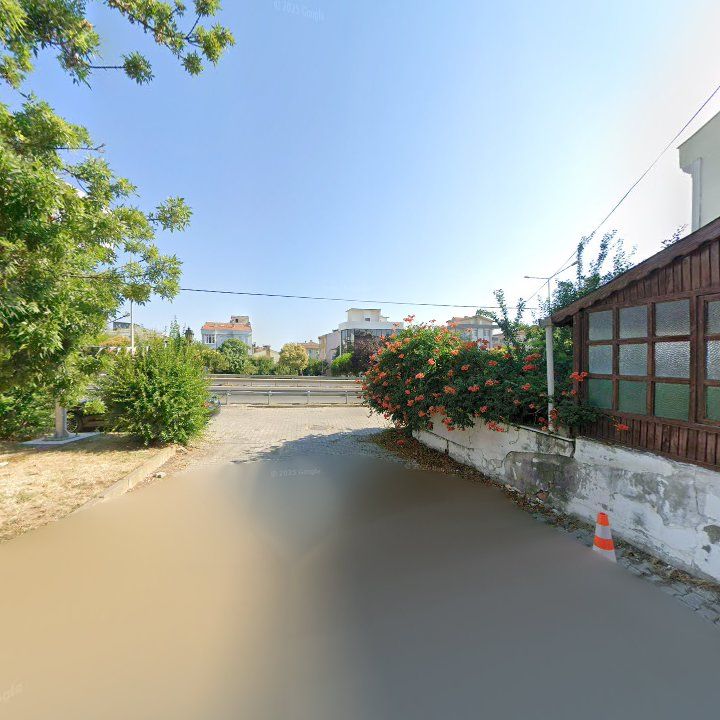 Fotoğraf 12