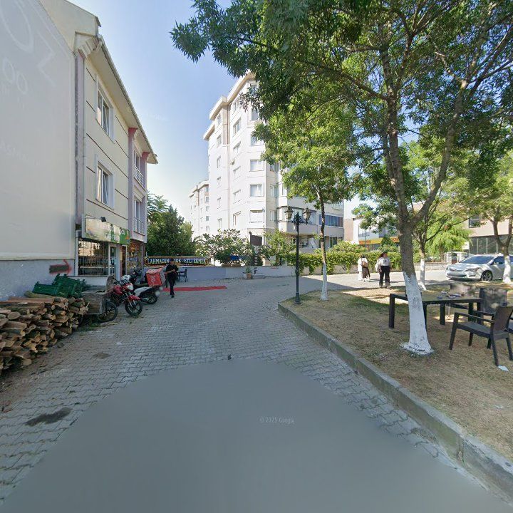 Fotoğraf 10
