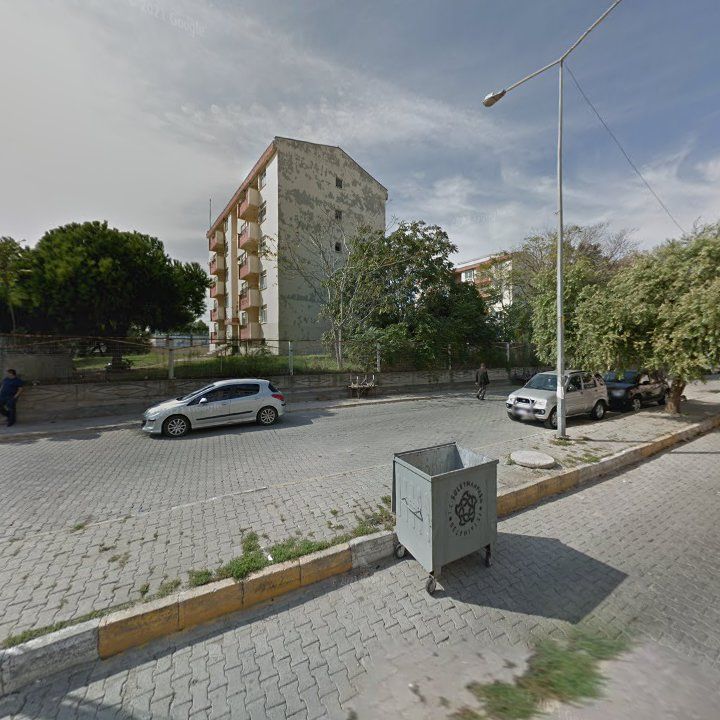 Fotoğraf 8