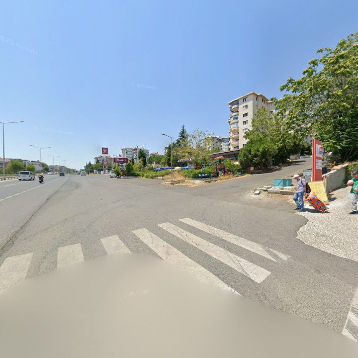 Fotoğraf 12