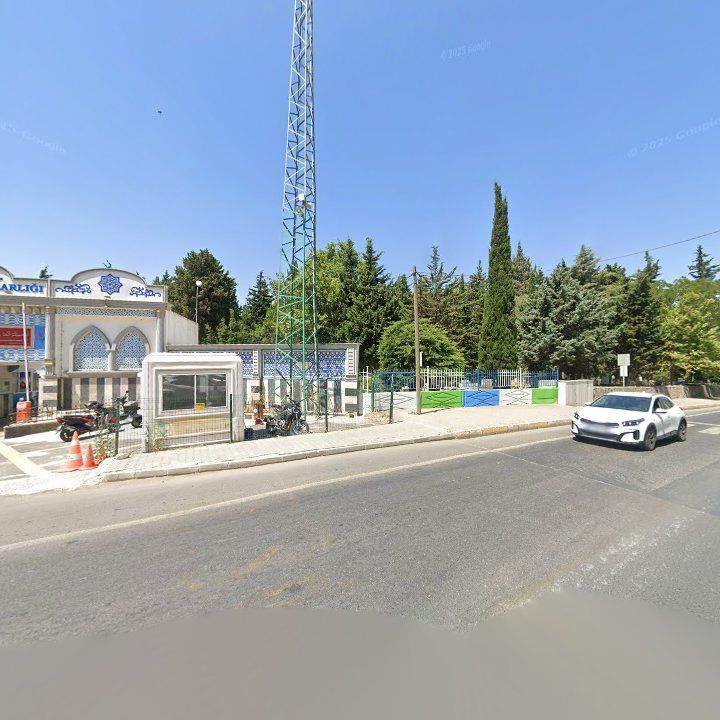 Fotoğraf 7