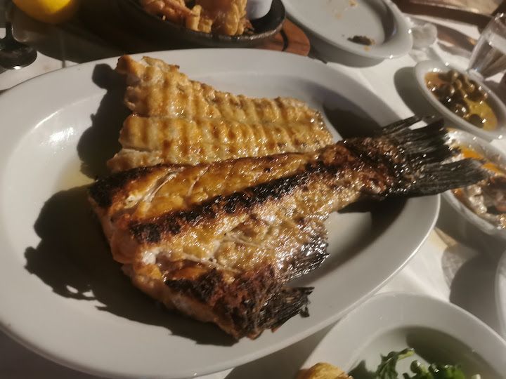 Fotoğraf 23