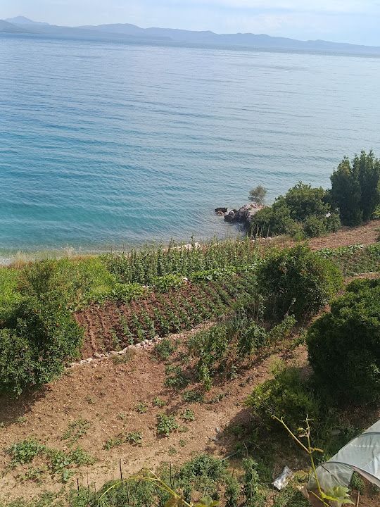Fotoğraf 29