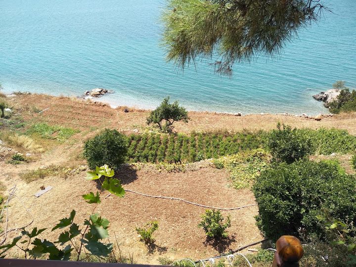 Yorum fotoğrafı 3