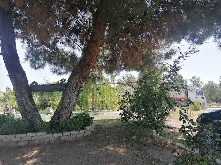 Yorum fotoğrafı 4