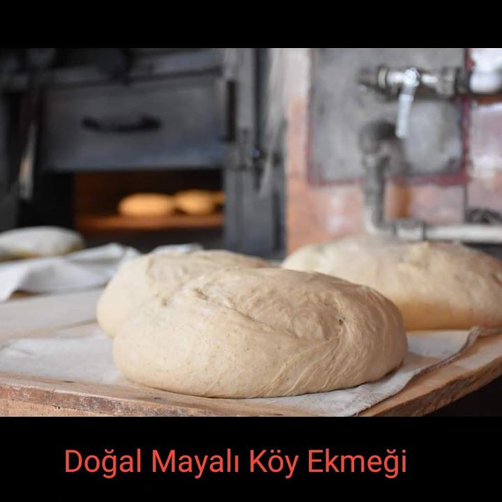 Fotoğraf 17