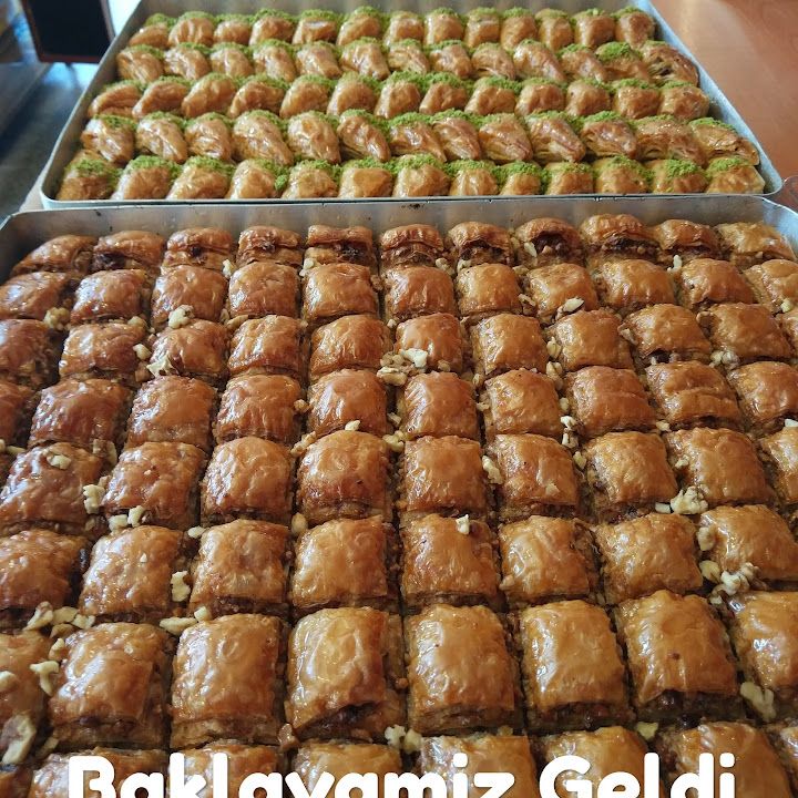 Fotoğraf 15