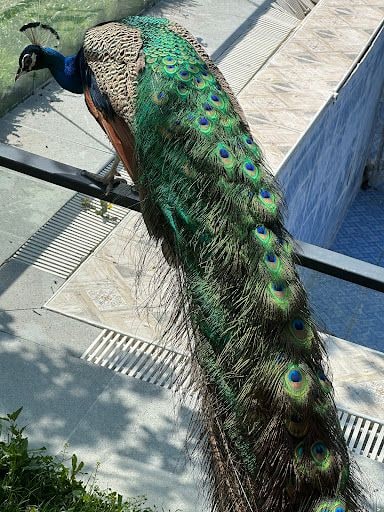 Yorum fotoğrafı 8