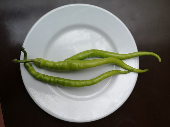 Fotoğraf 15