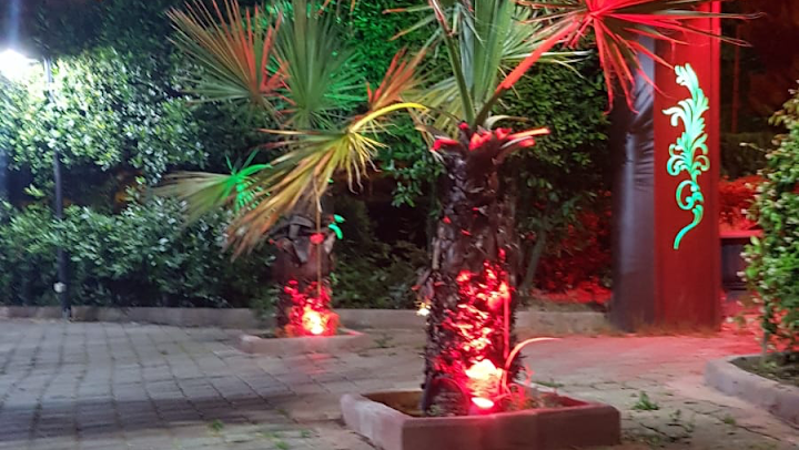 Fotoğraf 24