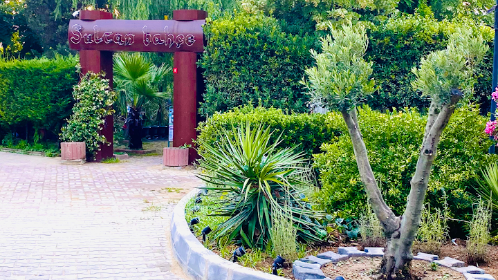 Fotoğraf 23