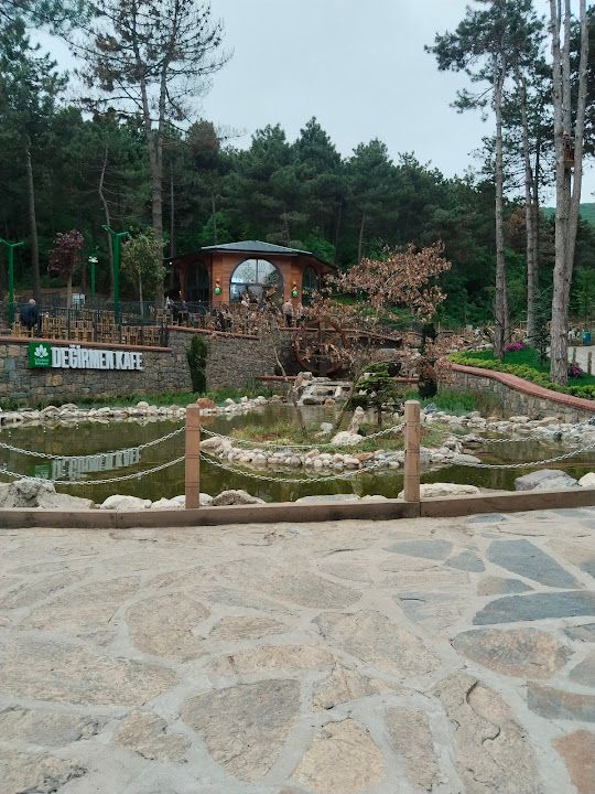 Fotoğraf 57