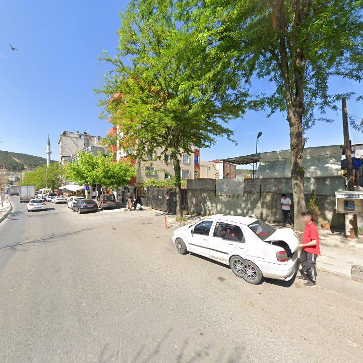 Fotoğraf 9