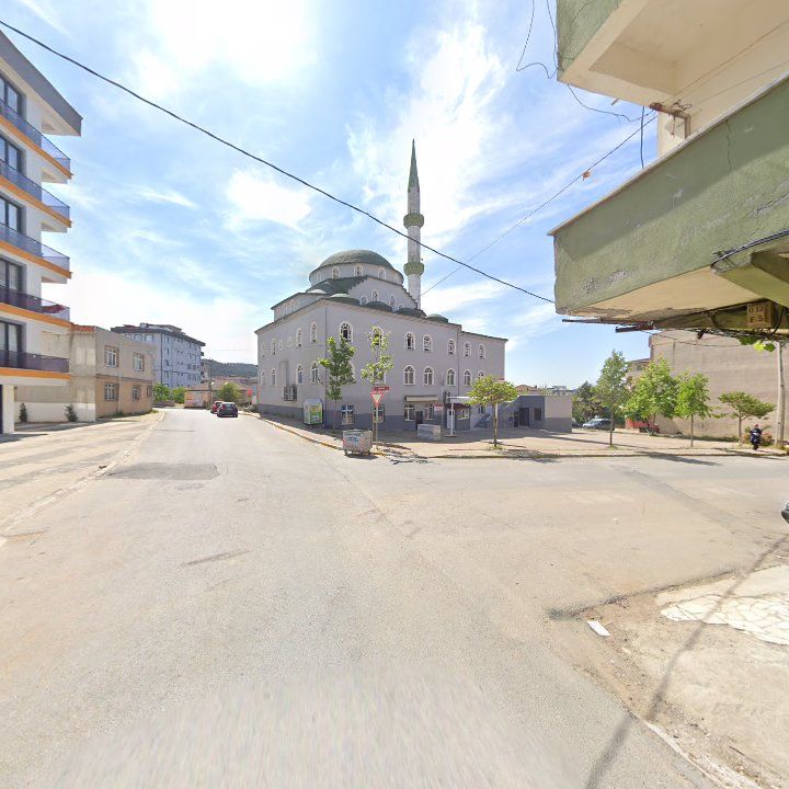 Fotoğraf 5