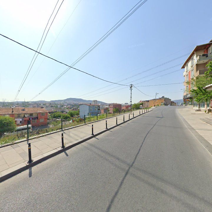 Fotoğraf 9