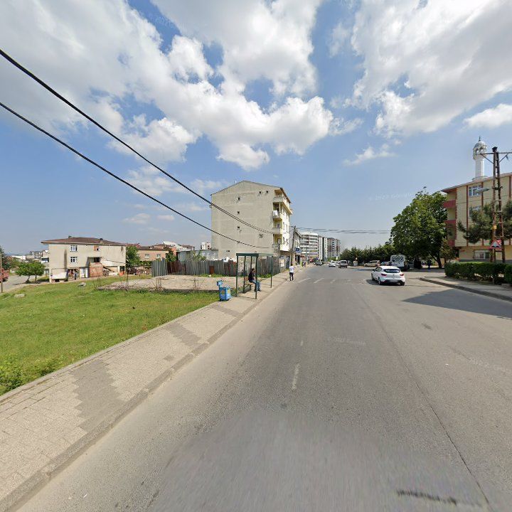 Fotoğraf 7