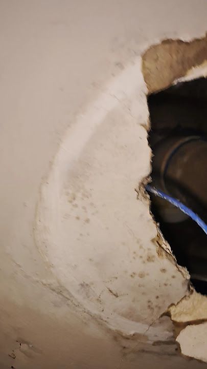 İstanbul Büyükşehir Belediyesi Halk Ekmek Satış Noktası