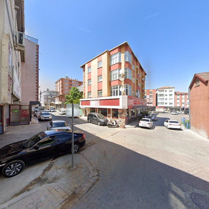 Fotoğraf 9