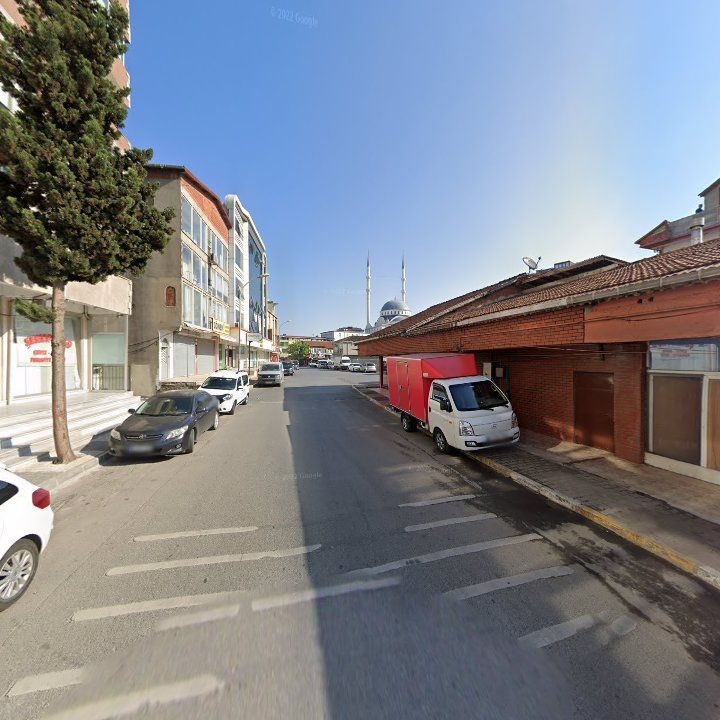 Fotoğraf 11