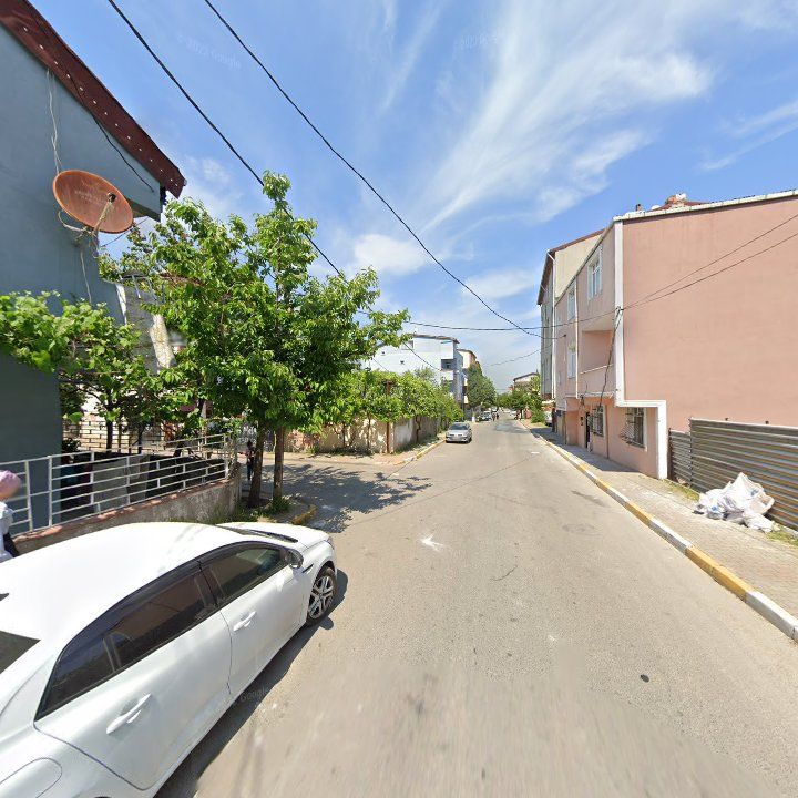 Fotoğraf 9