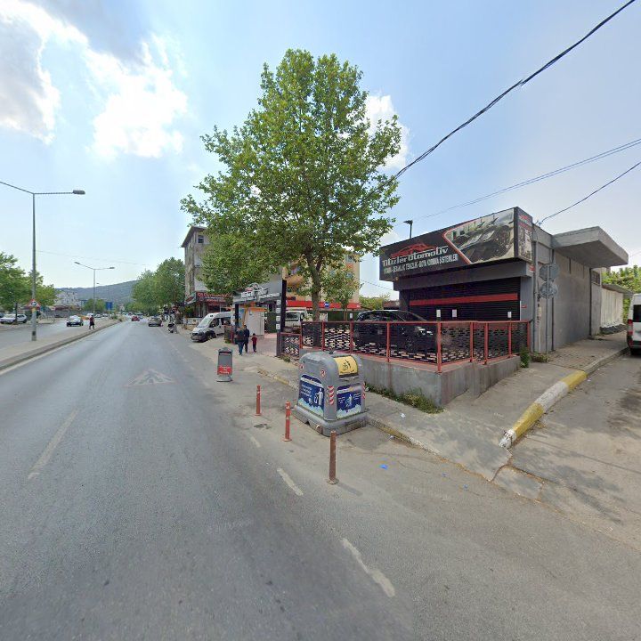 Fotoğraf 10