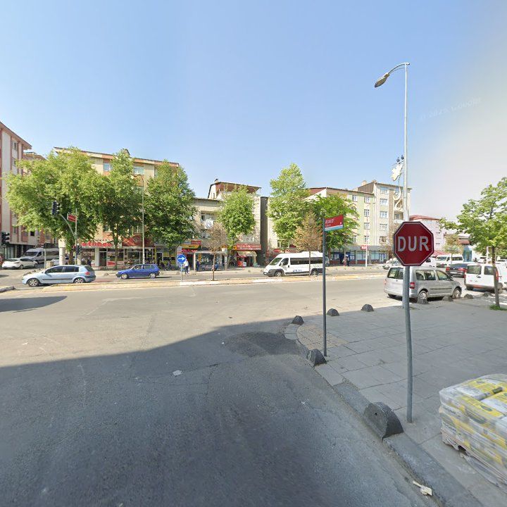 Fotoğraf 12