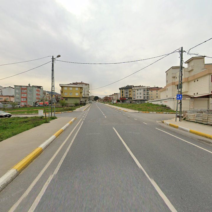 Fotoğraf 11