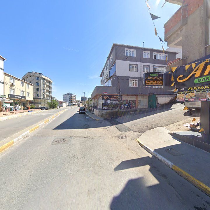 Fotoğraf 11