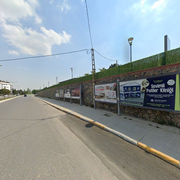 Fotoğraf 12